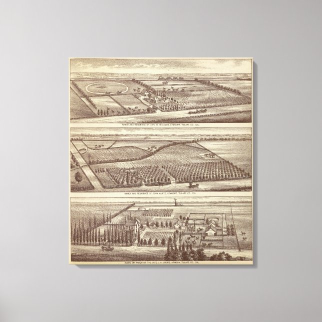 Lemoore, Armona ranches Canvas Print (Front)