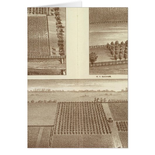 Lemoore ranches cards (Front)