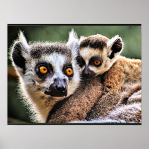 Lemur and Pup Poster
