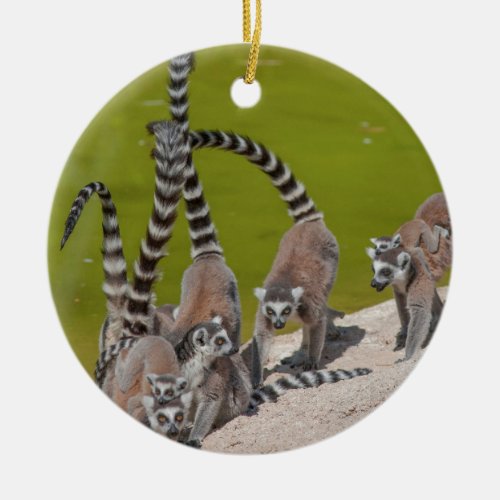 lemur at the zoo christmas ornament