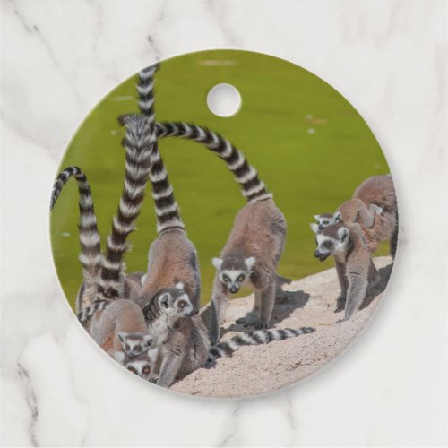 lemur at the zoo classic round sticker favor tags