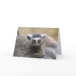 Lemur Baby  Greeting Card