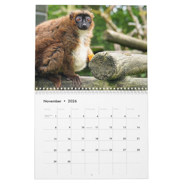 Lemur Calendar 2026 (Nov 2026)