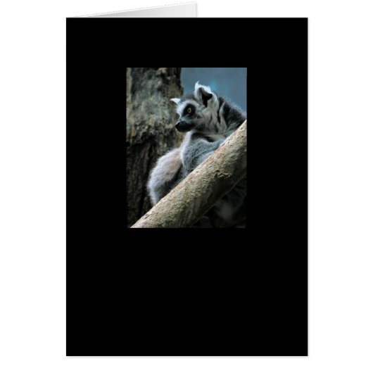 Lemur Cards (Front)