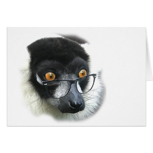 Lemur Cards (Front Horizontal)