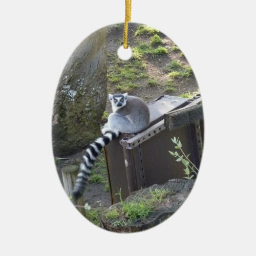 Lemur Ceramic Ornament