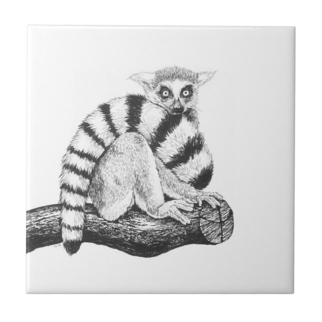 Lemur drawing ceramic tile (Front)