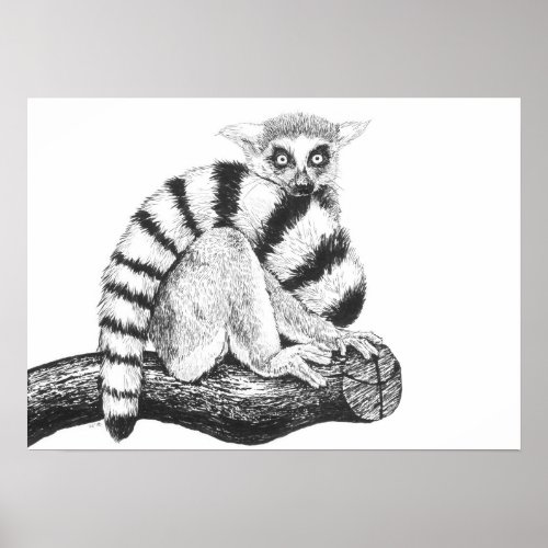 Lemur drawing poster