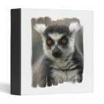 Lemur Face Binder