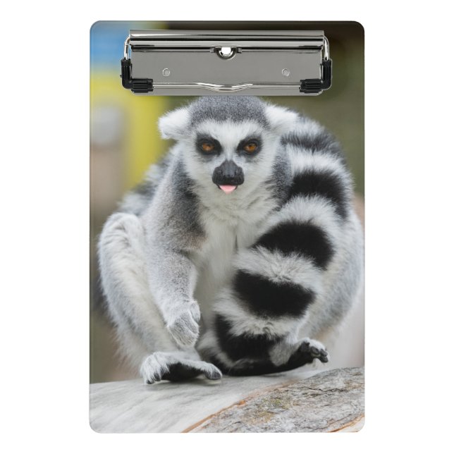 Lemur Full of Personality Mini Clipboard (Front)