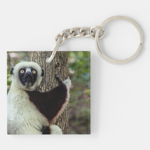 Lemur hugging a tree keychain