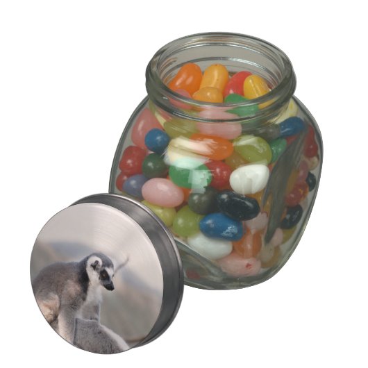 Lemur in Madagascar Glass Jar (Opened)