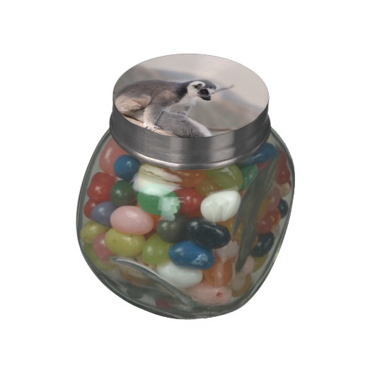 Lemur in Madagascar Glass Jar (Side)