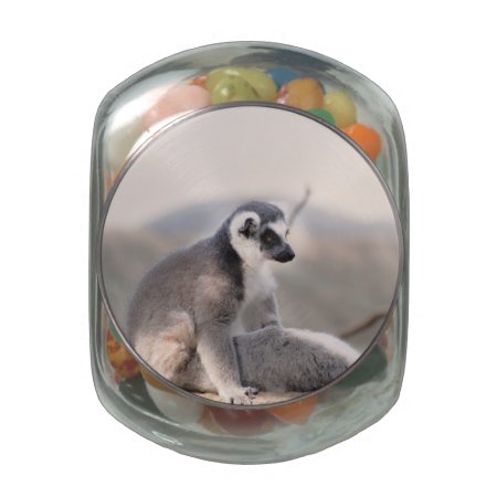 Lemur In Madagascar Glass Jar