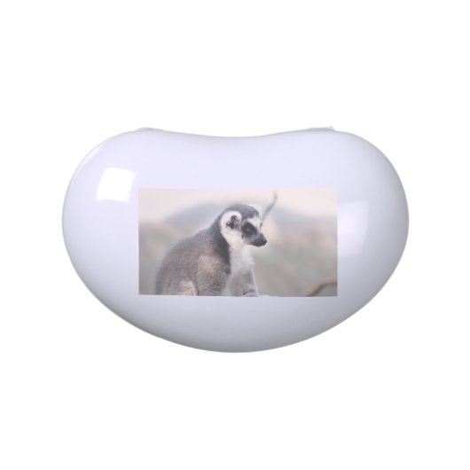 Lemur in Madagascar Glass Jar (Top)