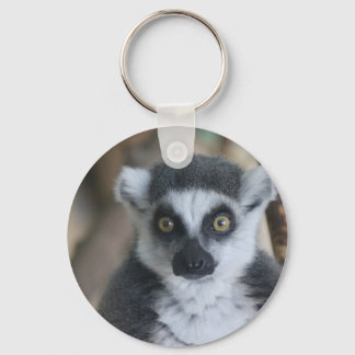 lemur keychain