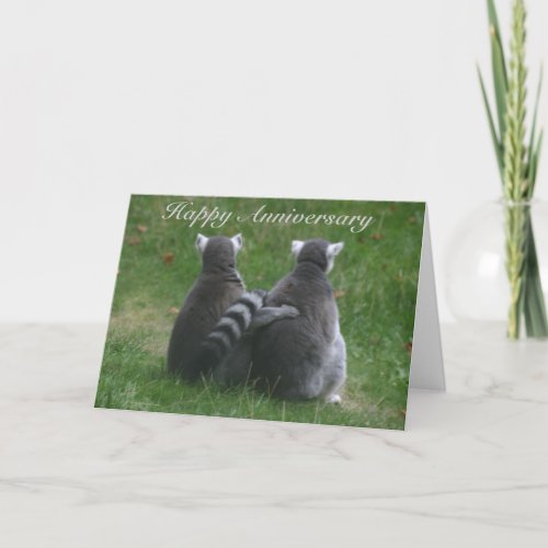 Lemur love  Happy Anniversary Card