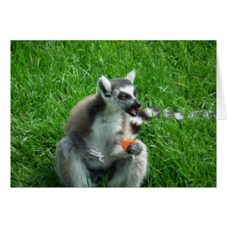 Lemur Lunch Cards