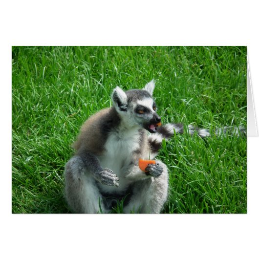 Lemur Lunch Cards (Front Horizontal)