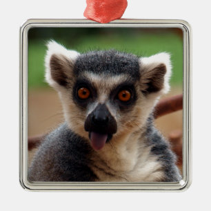 Lemur Metal Ornament