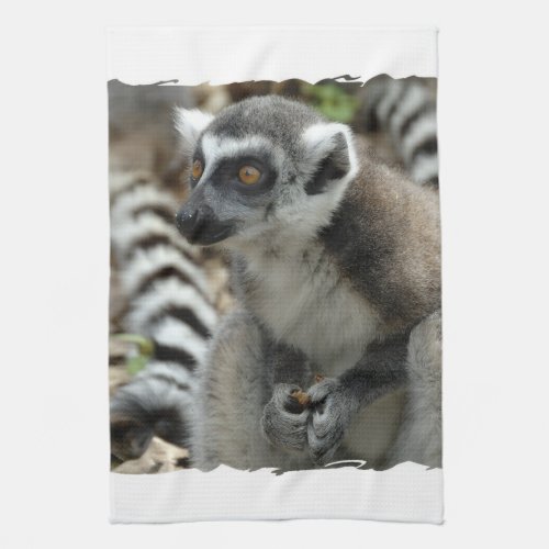 Lemur Monkey Kitchen Towel