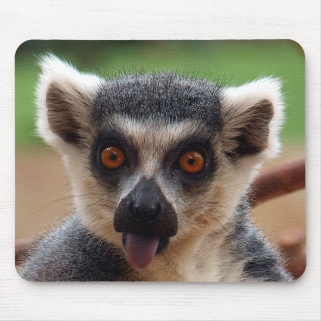 Lemur Mousepad (Front)