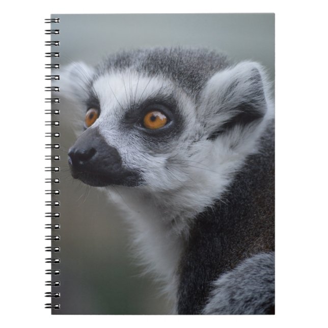 Lemur Notebook (Front)