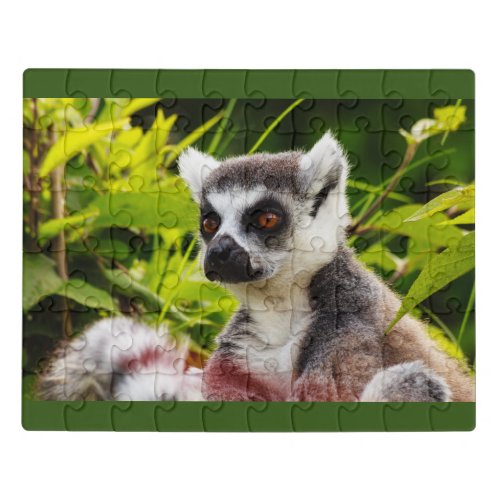 lemur of Madagascar on puzzle