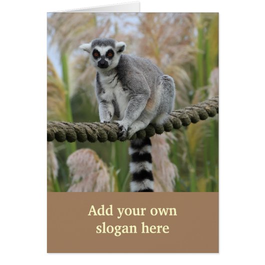 Lemur on Rope Photo to Customize Yourself Cards (Front)