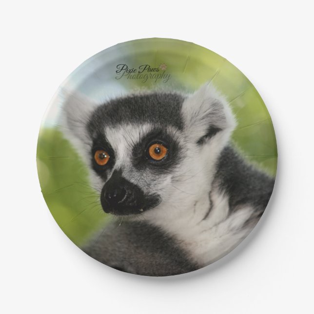 Lemur Paper Plates! Plates (Front)