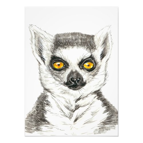 Lemur Photo Print