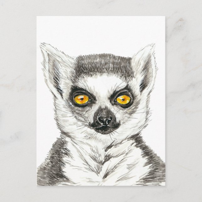 Lemur Postcard (Front)