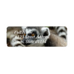 Lemur Return Address Label