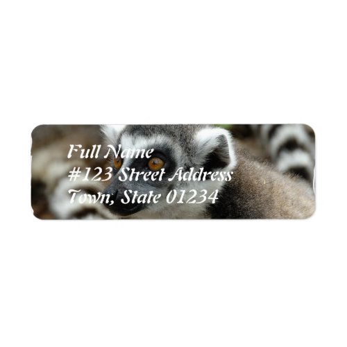 Lemur Return Address Label