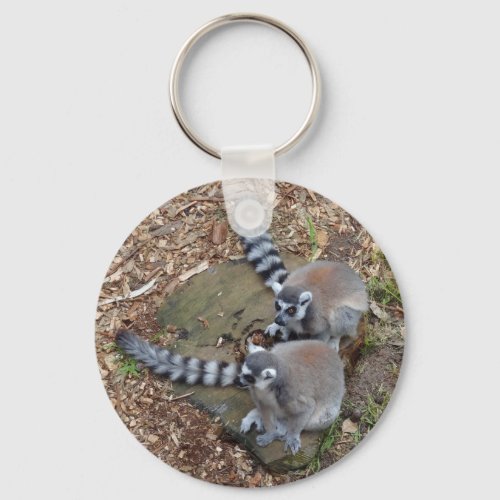 Lemur Ring_tailed 1 Keychain