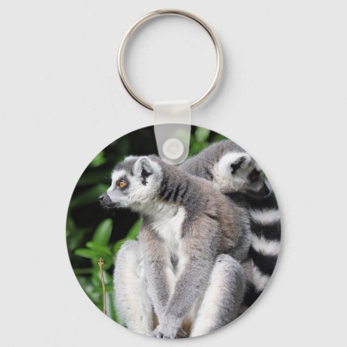Lemur ring_tailed cute photo keyring keychain