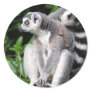 Lemur ring-tailed cute photo sticker, stickers