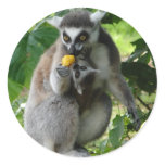 Lemur Sticker