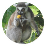 Lemur Sticker
