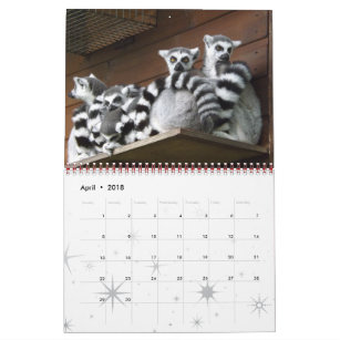 Lemur Wild Primate Welcome Home Destiny Destiny'S Calendar