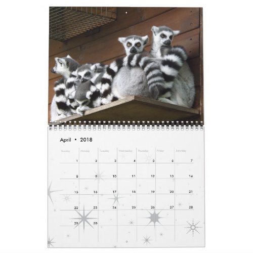 Lemur Wild Primate Welcome Home Destiny DestinyS Calendar