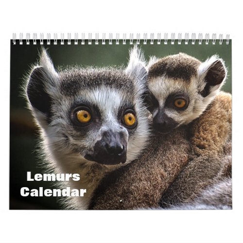 Lemurs 2024 calendar