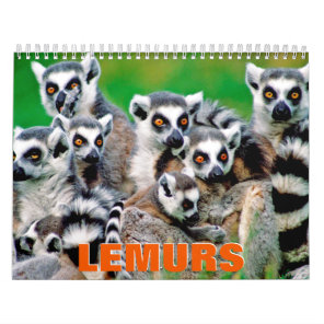 Lemurs Wall Calendar