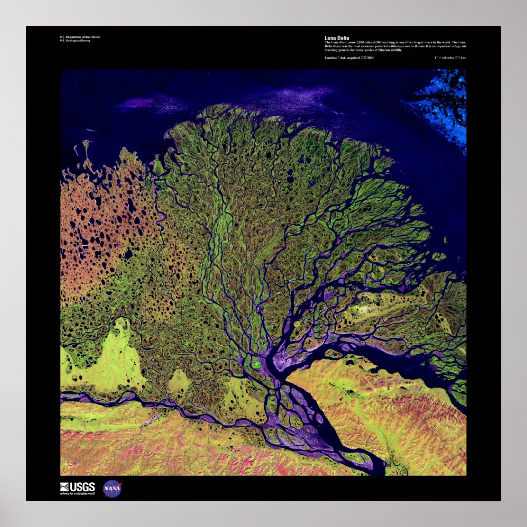 Lena River Delta Poster | Zazzle