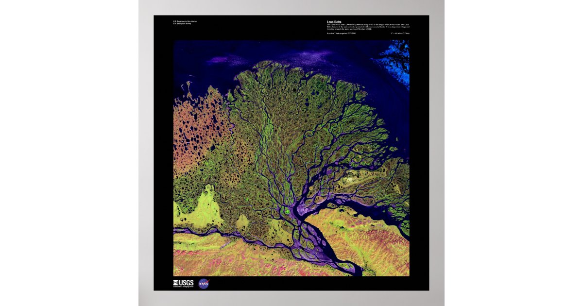 Lena River Delta Poster | Zazzle