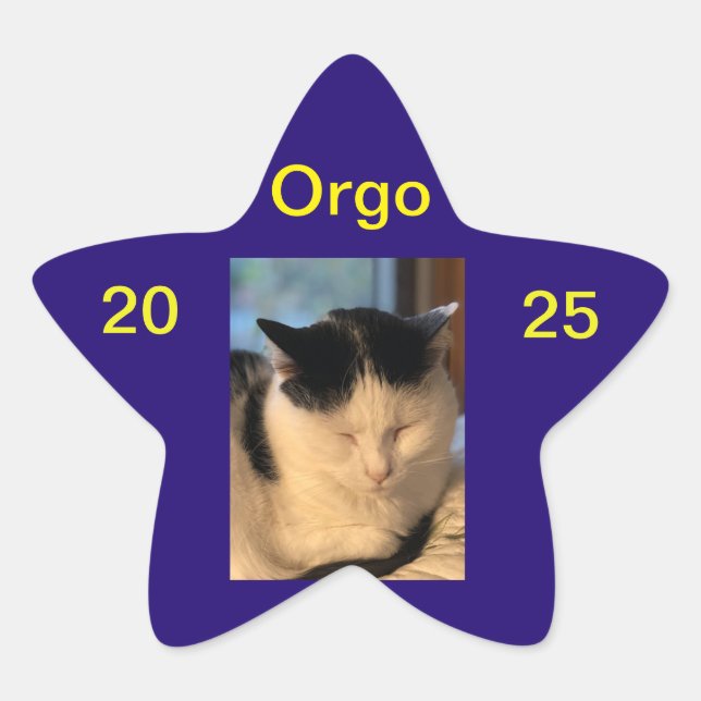 Lenny Sticker (Front)