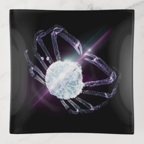 Lens Flare Crab 2 Throw Pillow Trinket Tray