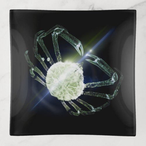 Lens Flare Crab 4 Throw Pillow Trinket Tray