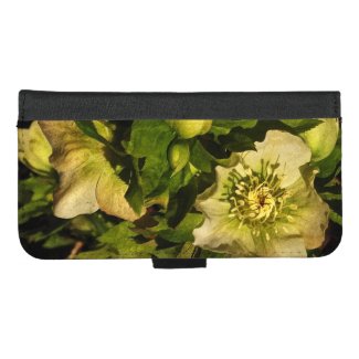Lenten Rose Flower iPhone 8/7 Plus Wallet Case