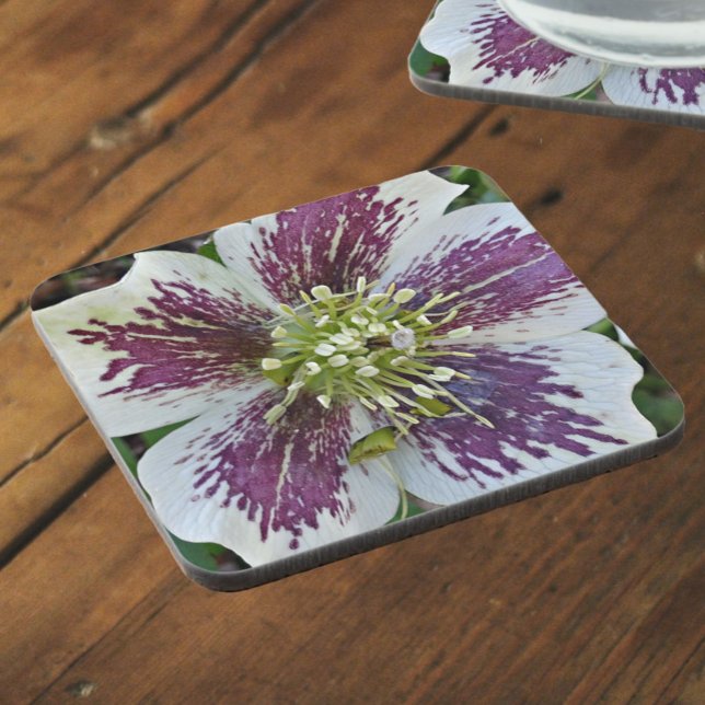 Lenten Rose Hellebore Floral Beverage Coaster (In Situ)